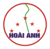 Logo Thẩm mỹ viện Hoài Anh
