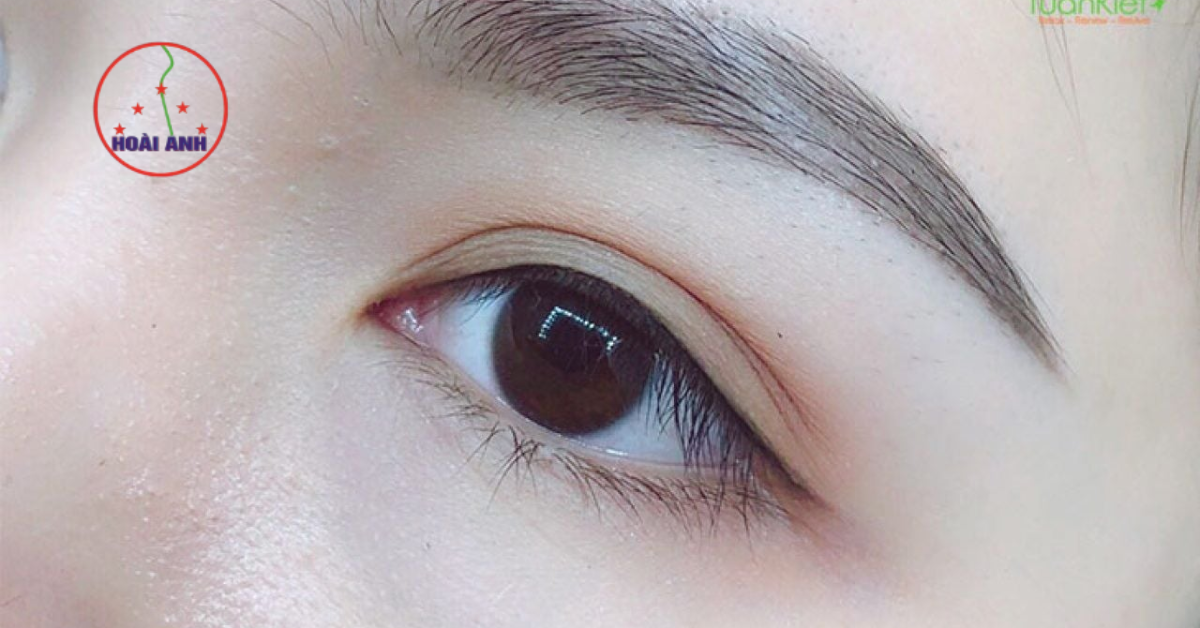 mực phun mí độc quyền hoài anh