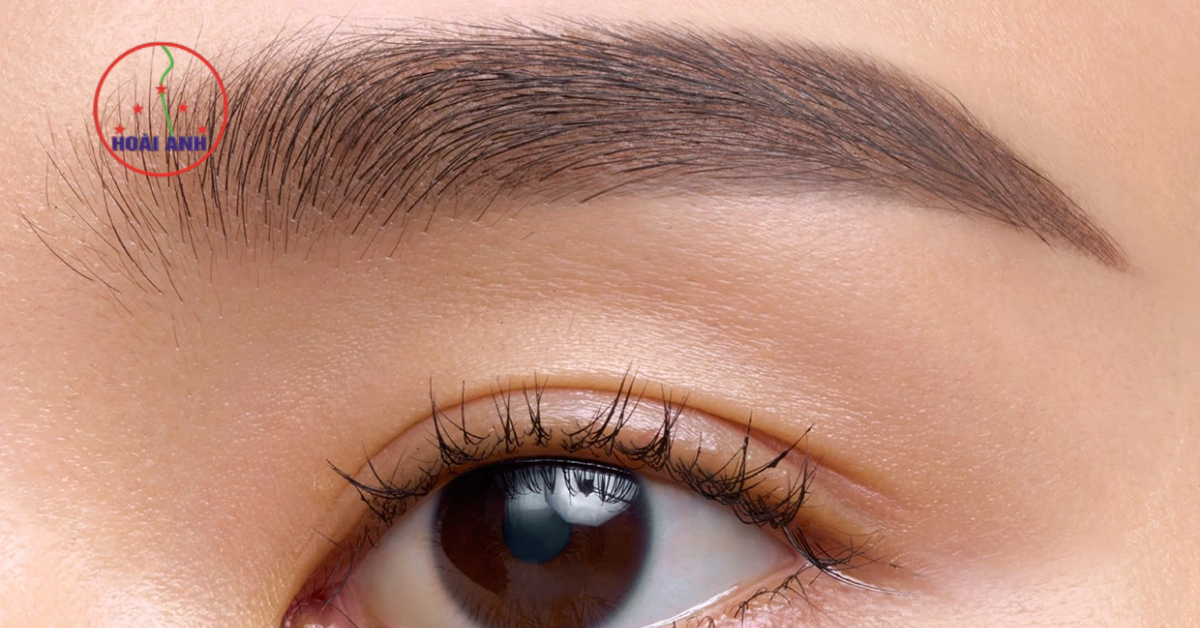 các dáng điêu khắc lông mày tự nhiên