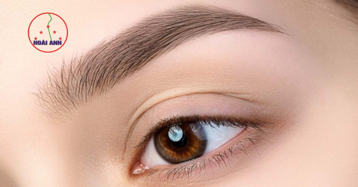 bao lâu dặm lại chân mày 2026